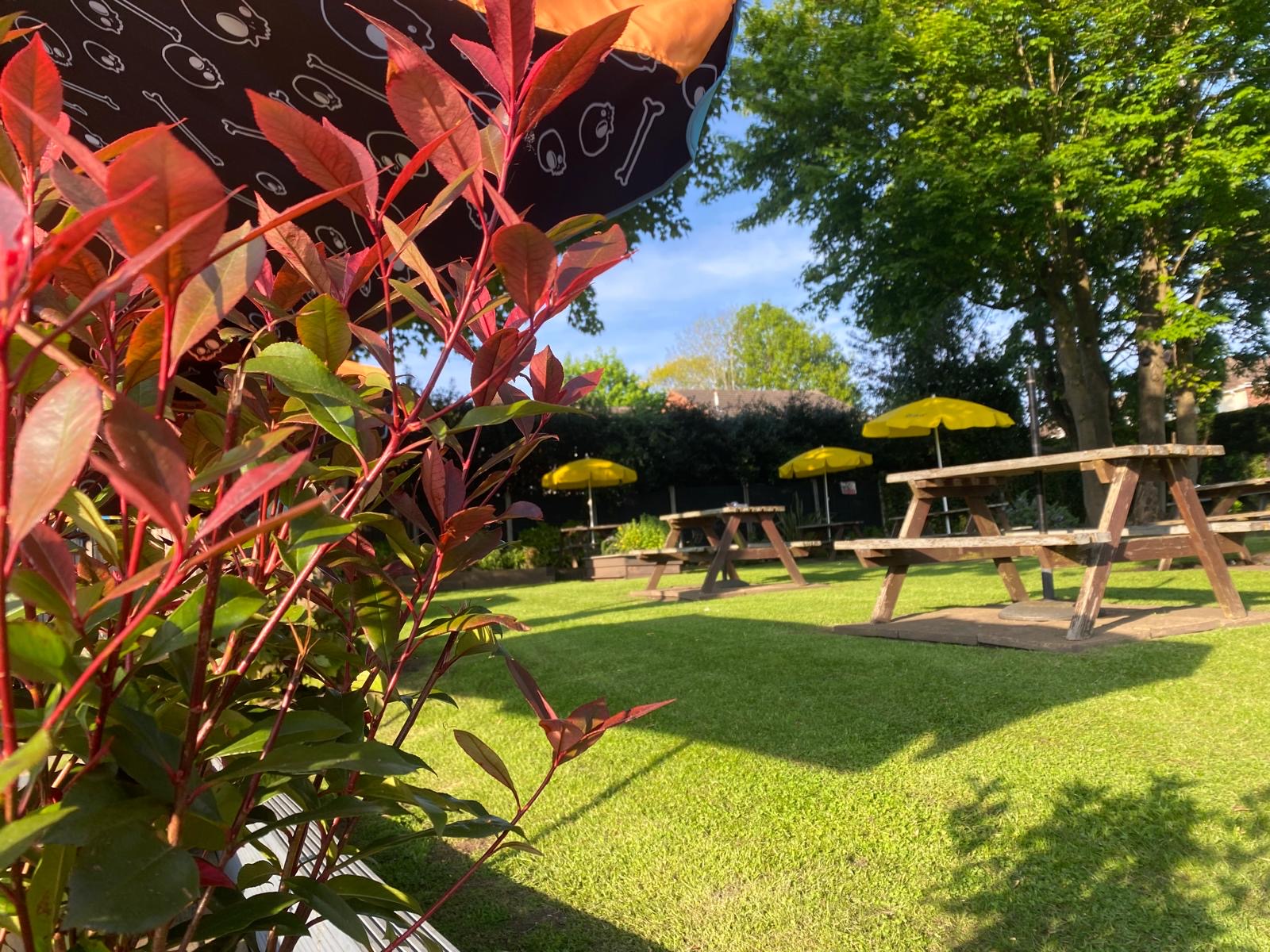garden